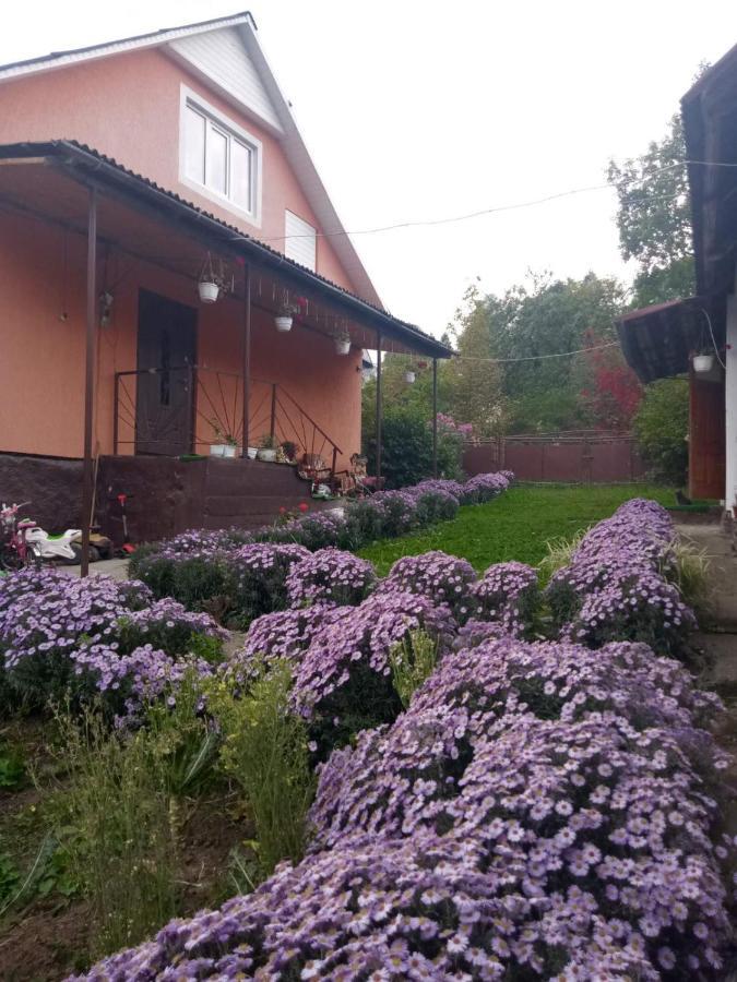 Hotel Gostynnyi Dvir U Marichky Lazeshchyna Esterno foto