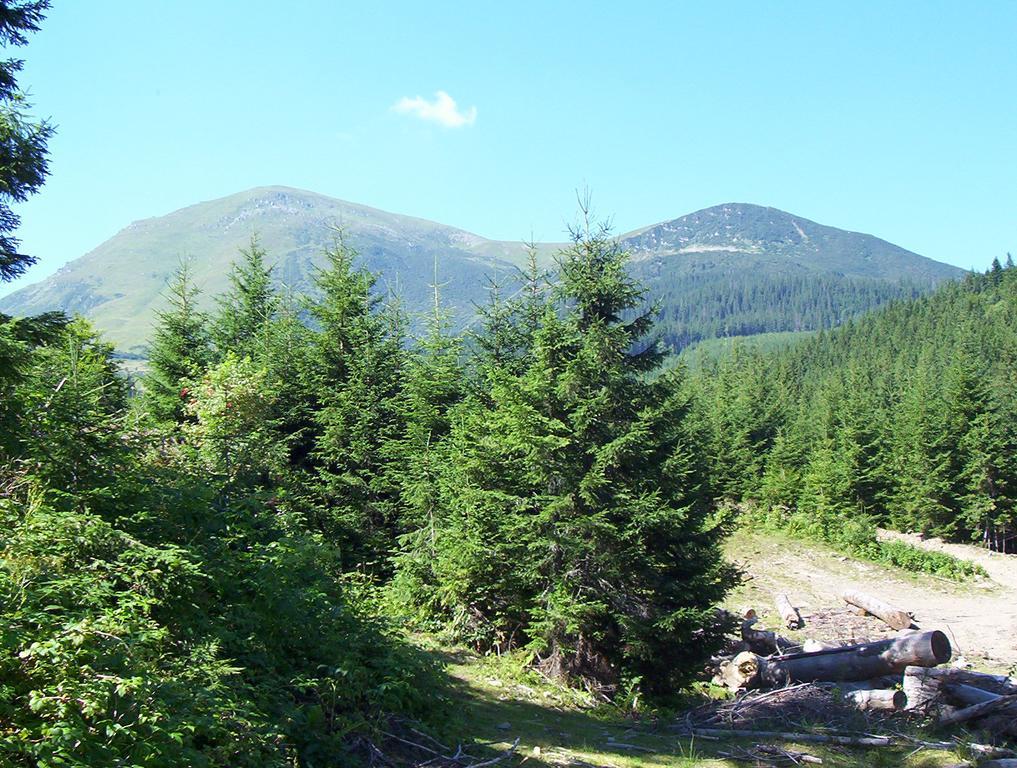 Hotel Gostynnyi Dvir U Marichky Lazeshchyna Esterno foto
