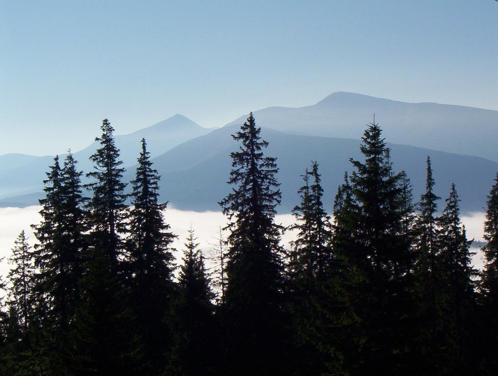 Hotel Gostynnyi Dvir U Marichky Lazeshchyna Esterno foto